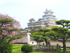 Japonsko 125