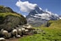 Foto - Krásy francouzských a švýcarských Alp
