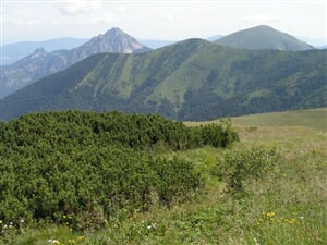 Slovensko - Malá Fatra 2
