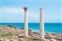Foto - SARDINIE 55+ hotel Horse country resort