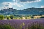 Foto - Kouzelná Provence