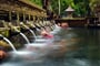 Holy Spring Water Temple, Bali_shutterstock_286319627