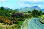 Irsko, Wales, Anglie
