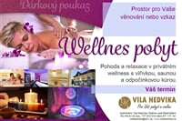 Wellness pobyt Beskydy Valašsko Vila Hedvika*** Rožnov pod Radhoštěm s poznáváním a dalšími zážitky