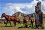 South America. Easter Island. Horses. Statues._shutterstock_1951772571