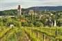 Rakousko - pohled z okolních vinic na městečko Perchtoldsdorf (Wiki-Ulrich Latzenhofer)