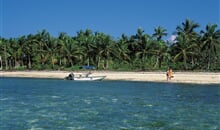 Coral Costa Caribe