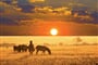 Foto - To nejlepší z Namibie