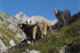 Julské Alpy - dolina za Kopico © Foto: Dominika Sommerová