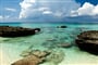 Foto - Kajmanské ostrovy, The Reef ****+, Grand Cayman