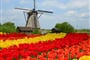 Foto - Květinové korzo  - Holandsko a květinové korzo