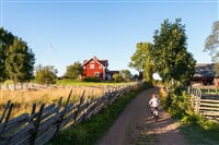 Švédsko - Jižní Švédsko a Öland na kole