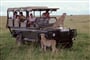 Camping Masai Mara Safari - 7 dní
