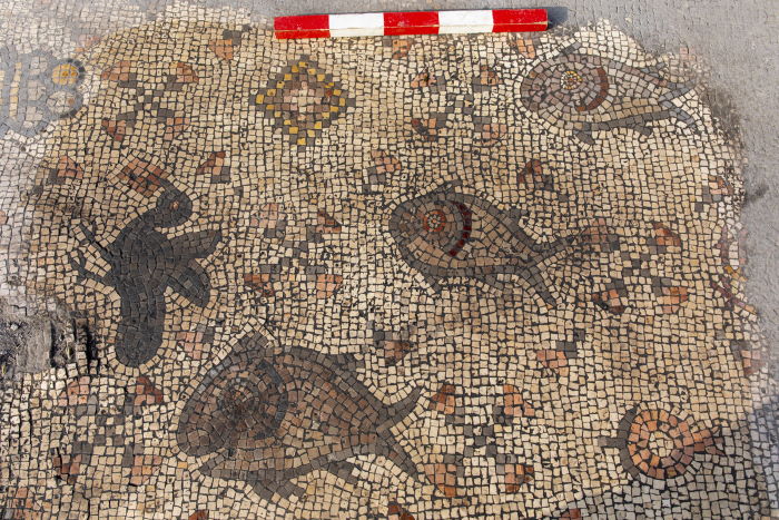 Mozaika z Hipposu v Galileji