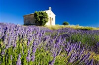 Francie - Provence - Vůně Levandule