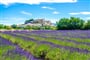 Poznávací zájezd Francie - Provence, levandulové pole
