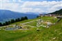 Foto - Pitztal léto - Alpenrose - léto v Alpách
