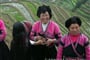 Ženy kmene Miao na rýžových terasách