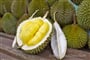 Plod durianu