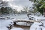 Kenrokuen – japonská zahrada v zimním hávu (Kanazawa)
