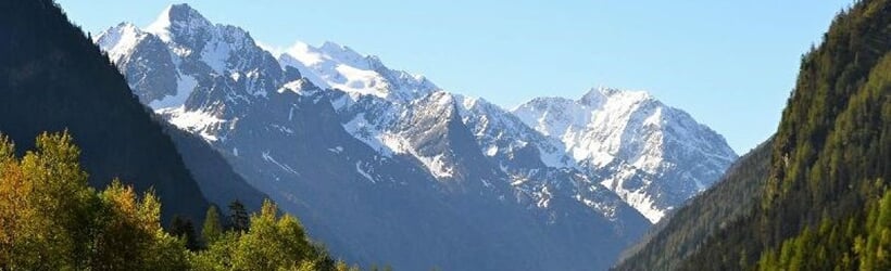 Léto v Pitztalu - Alpenrose