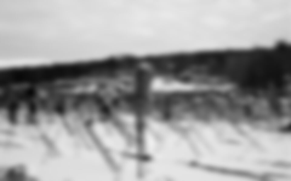 Vasův běh vlastní dopravou