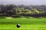 golf2