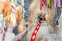 Ptuj_shutterstock_375133186