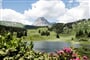 Foto - Steeg - Lechtalské Alpy pro seniory ***