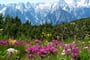 Foto - Národní park Kalkalpen - Národní park Kalkalpen - vápencový svět hor ***