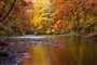 landscape, autumn, torrent