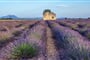 Poznávací zájezd Francie - Provence