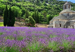 Francie – Provence, Vůně Levandule