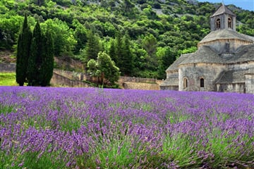 Francie – Provence, Vůně Levandule