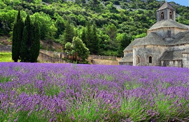 Francie – Provence, Vůně Levandule