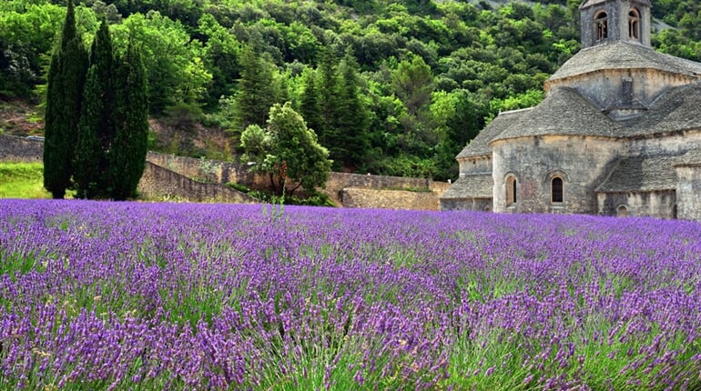 Poznávací zájezd Francie - Provence - klášter Senanque