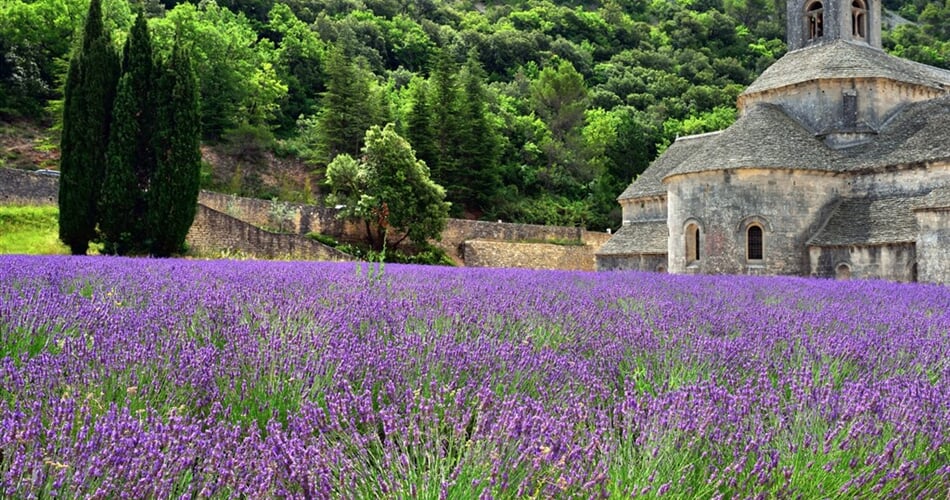 Poznávací zájezd Francie - Provence - klášter Senanque