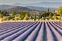 Poznávací zájezd Francie - Provence