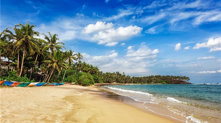 shutterstock_3842961671