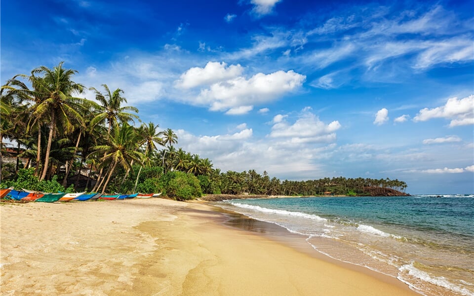 shutterstock_3842961671