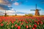 Poznávací zájezd Nizozemsko - Zaanse Schans