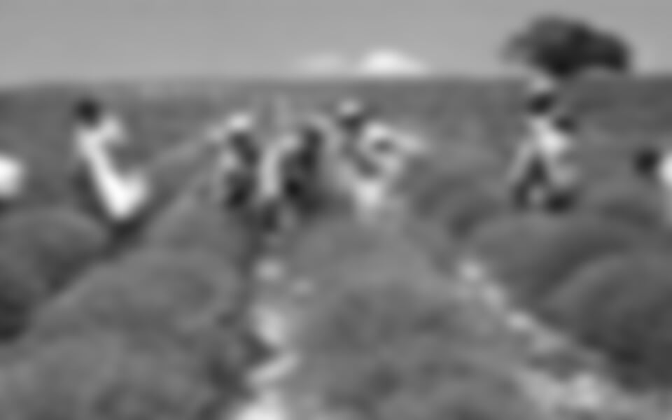 Provence s vůní levandule a koupáním letecky