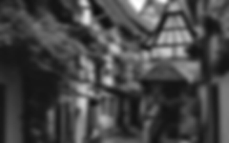 Schwarzwald, Alsasko a Vogézy