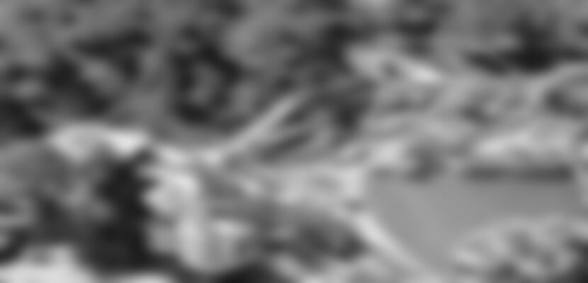 Turecko (exclusive), Rixos Premium Hotel *****, Turecko-Belek