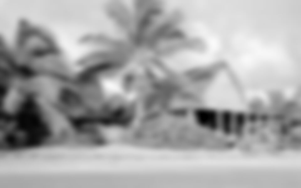 Tonga - Fafa Island Resort***