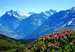 Švýcarsko a Glacier Express