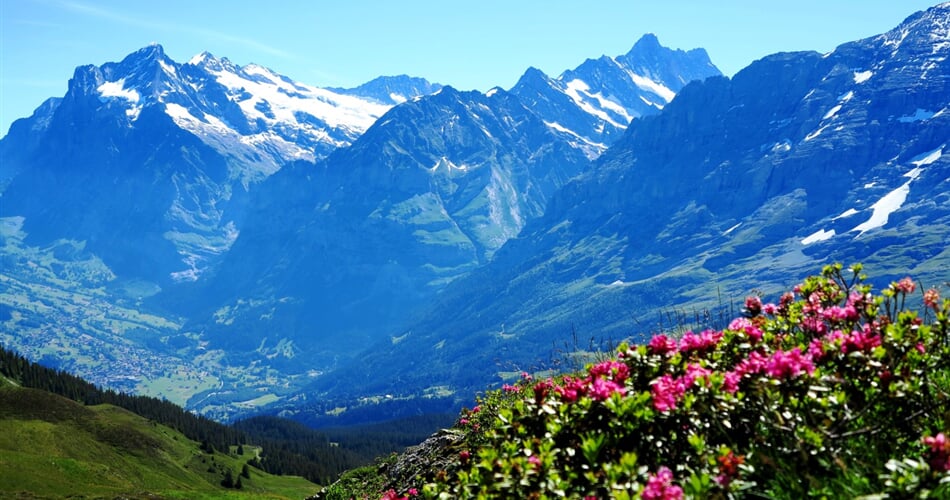 Bernské Alpy 3