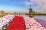 Poznávací zájezd Nizozemsko - větrné mlýny