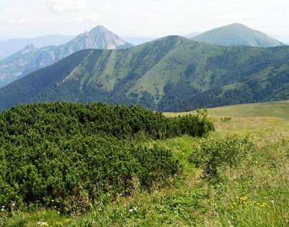 Fatra Kriváň 2