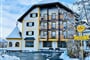 Alpenblick Hotel (3)